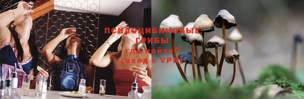 гашик Белокуриха