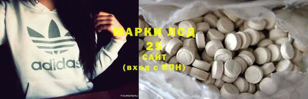 гашик Белокуриха