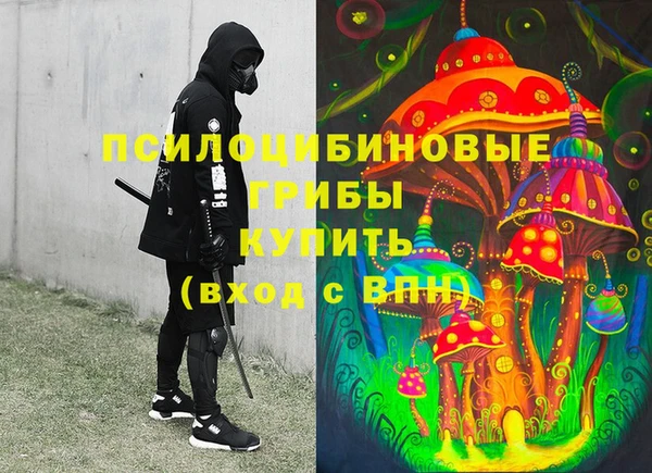 гашик Белокуриха