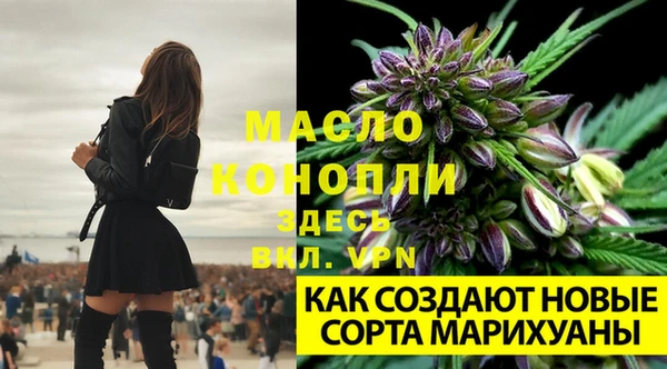 spice Беломорск