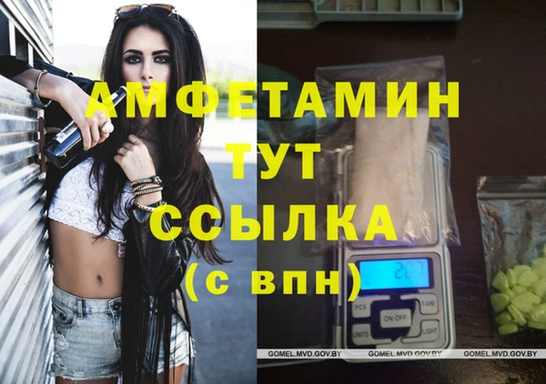 гашик Белокуриха